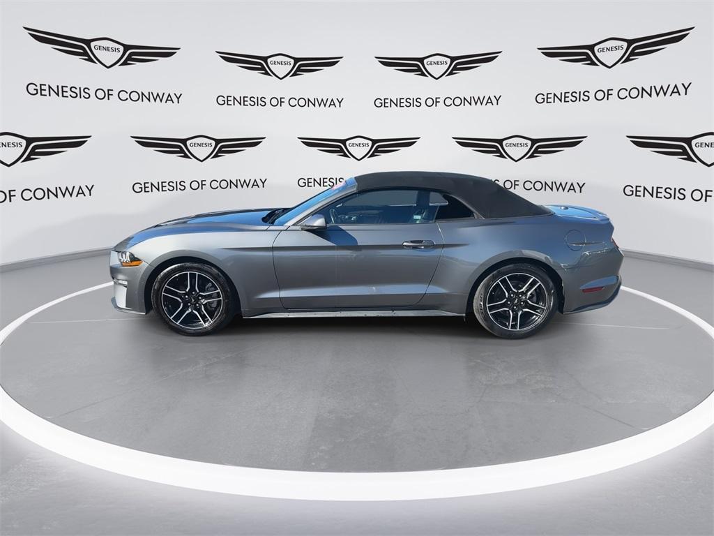 used 2023 Ford Mustang car, priced at $24,282