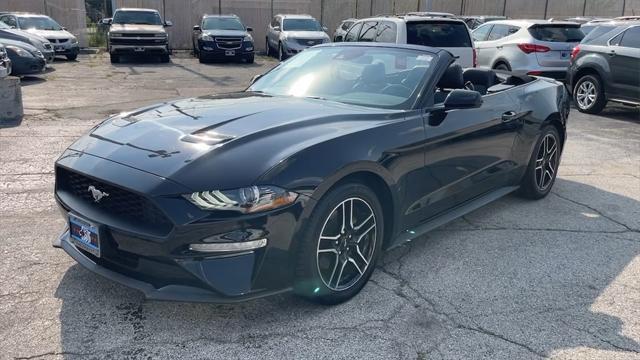 used 2022 Ford Mustang car, priced at $20,000