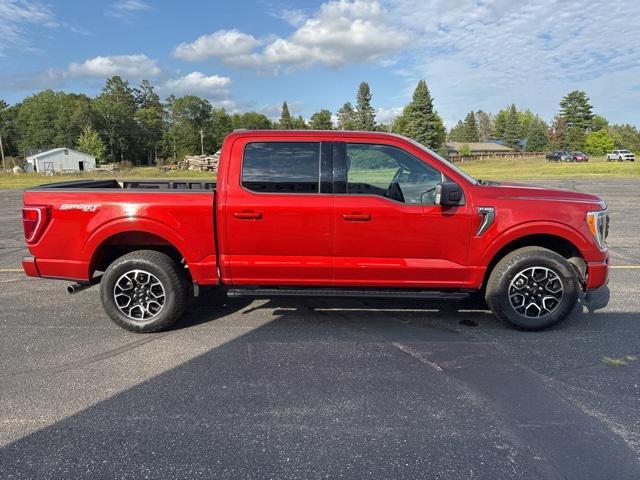 used 2023 Ford F-150 car