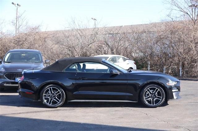 used 2022 Ford Mustang car, priced at $24,950