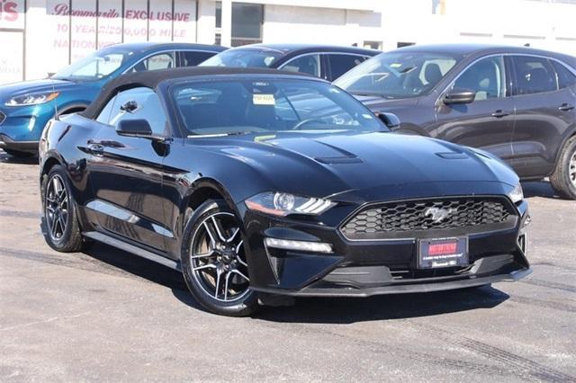 used 2022 Ford Mustang car, priced at $24,950