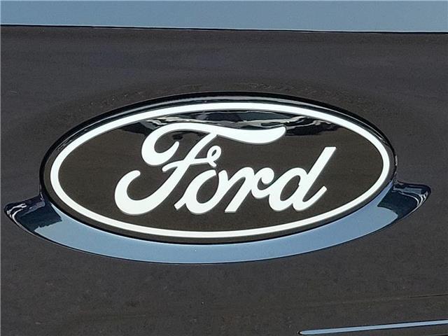 new 2024 Ford F-150 car, priced at $54,279