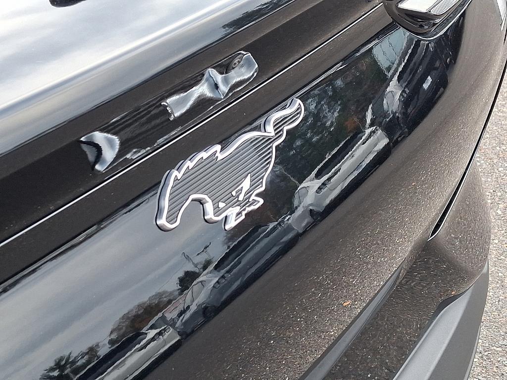 new 2025 Ford Mustang Mach-E car, priced at $53,225