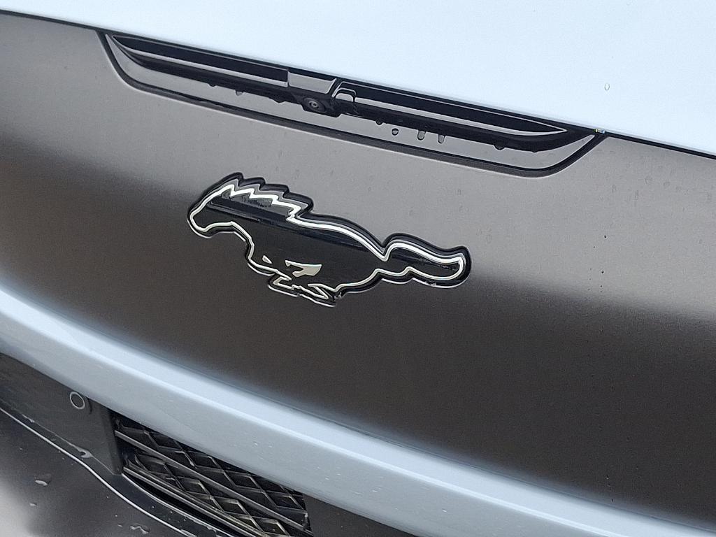 new 2025 Ford Mustang Mach-E car, priced at $58,980