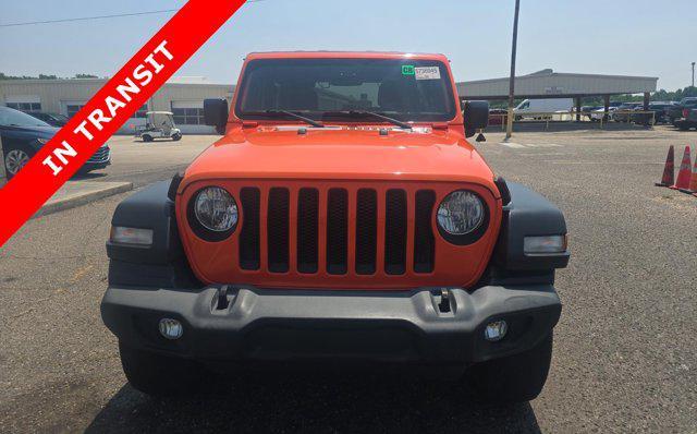 used 2019 Jeep Wrangler car