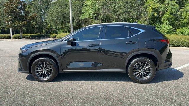 used 2023 Lexus NX 250 car
