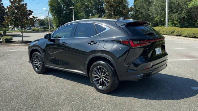 used 2023 Lexus NX 250 car