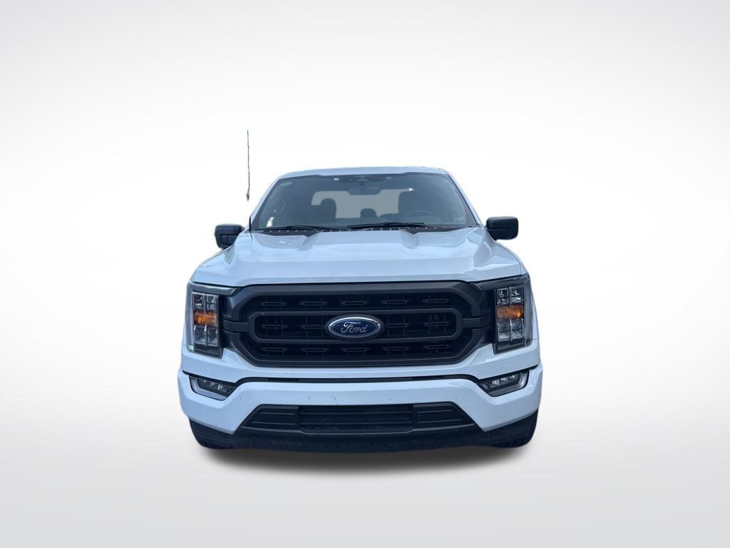 used 2023 Ford F-150 car