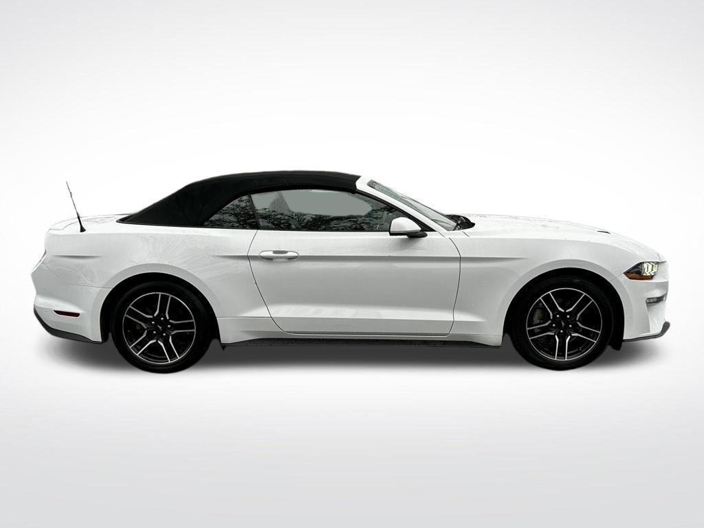 used 2022 Ford Mustang car, priced at $19,921