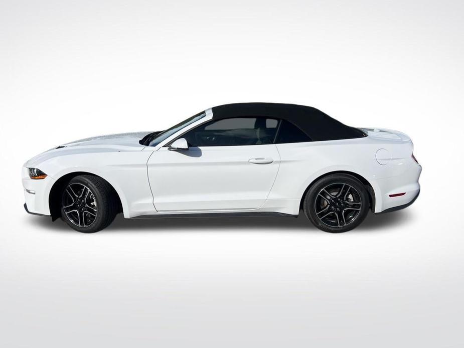 used 2019 Ford Mustang car, priced at $24,911