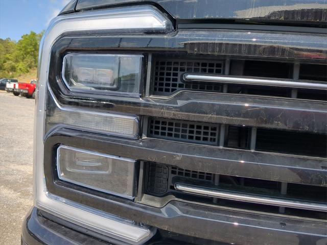 new 2025 Ford F-250 car, priced at $96,349