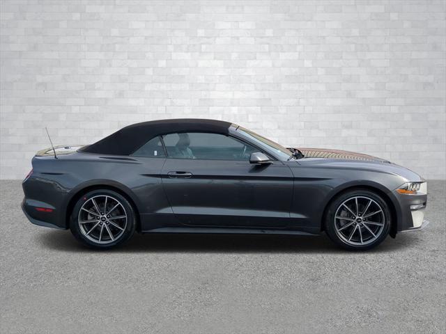 used 2019 Ford Mustang car, priced at $20,000