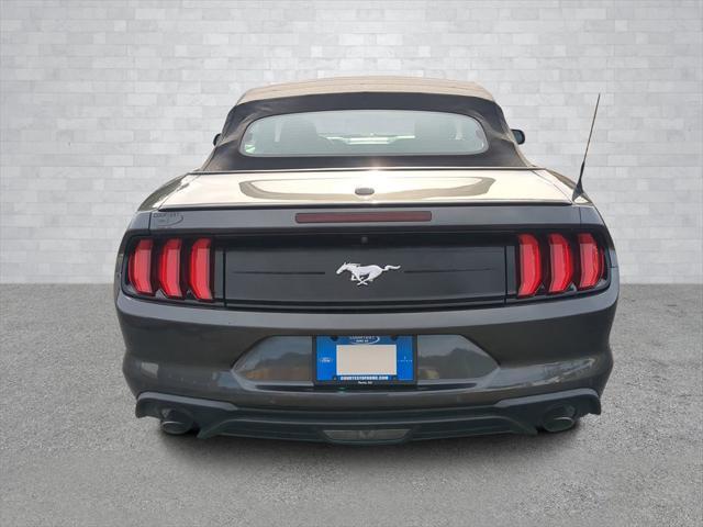 used 2019 Ford Mustang car, priced at $20,000