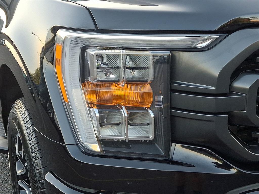 used 2021 Ford F-150 car, priced at $36,000