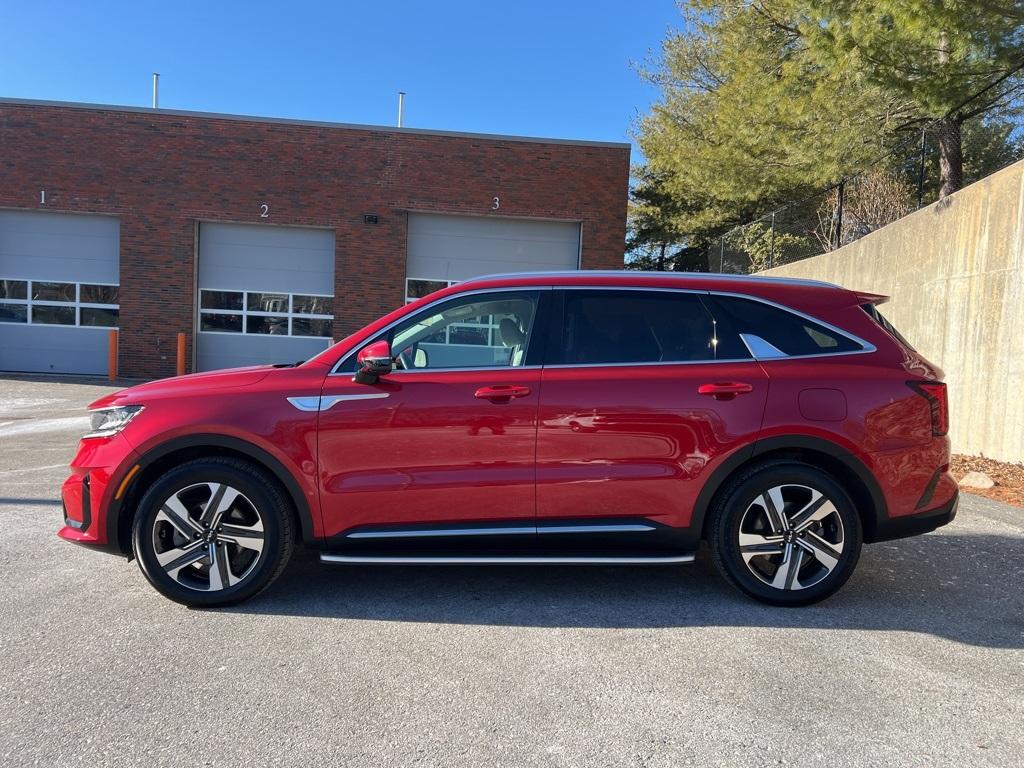 used 2023 Kia Sorento Hybrid car, priced at $31,700