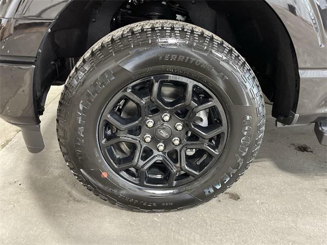 new 2025 Ford F-150 car