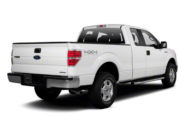 used 2010 Ford F-150 car