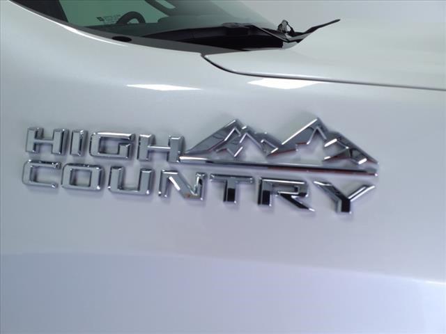 used 2024 Chevrolet Silverado 1500 car