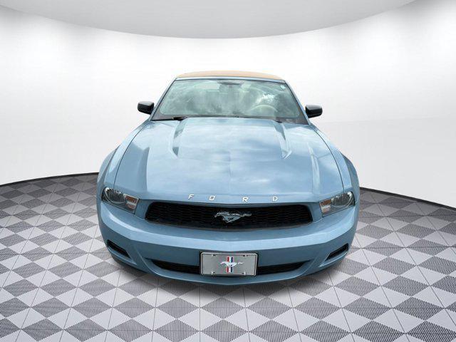 used 2010 Ford Mustang car, priced at $6,999