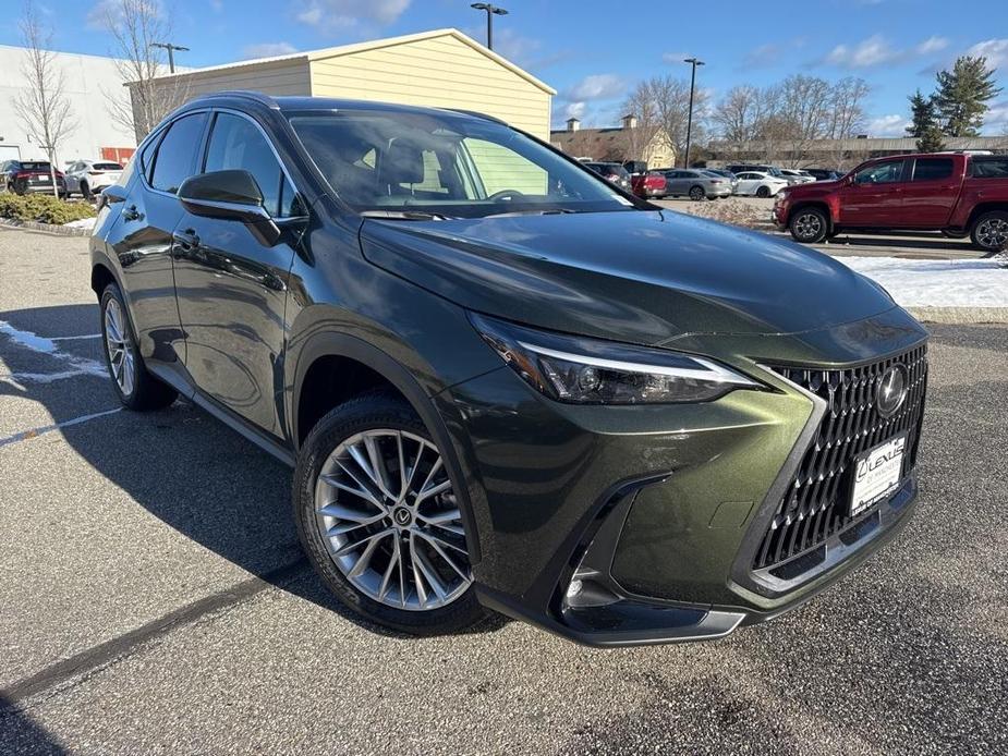 new 2025 Lexus NX 350 car, priced at $52,055