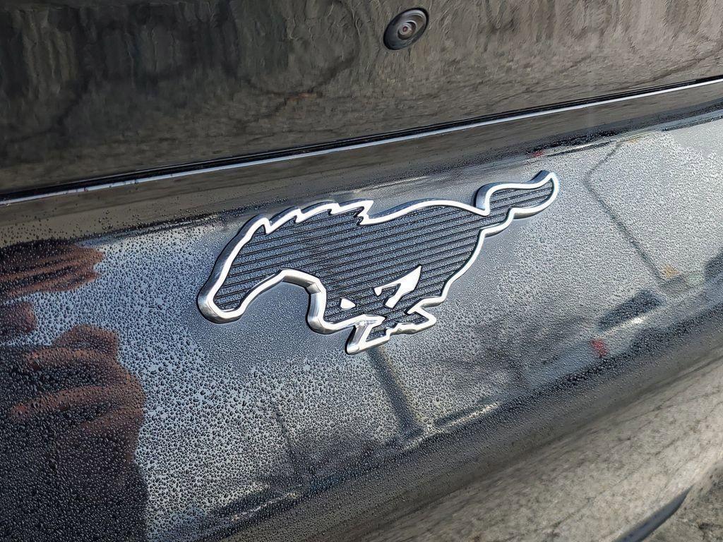 new 2025 Ford Mustang Mach-E car