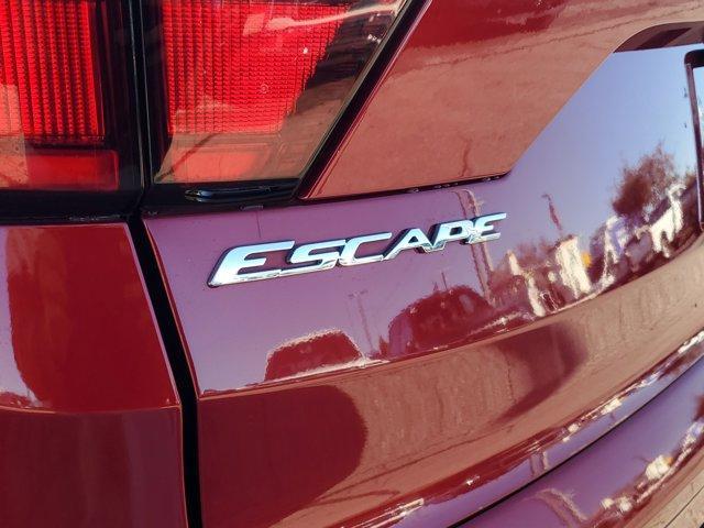 used 2019 Ford Escape car, priced at $18,500