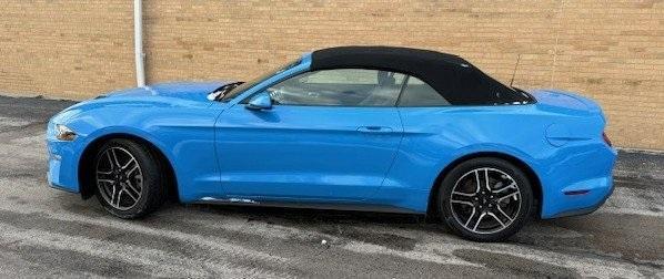 used 2022 Ford Mustang car, priced at $23,967