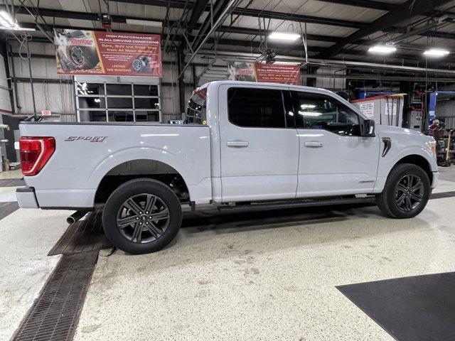 used 2023 Ford F-150 car, priced at $43,988