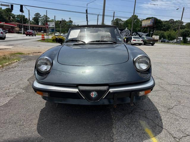 used 1986 Alfa Romeo Spider car