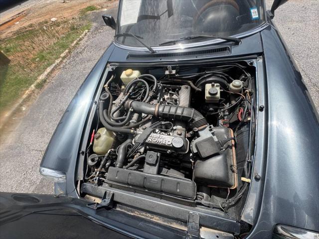 used 1986 Alfa Romeo Spider car