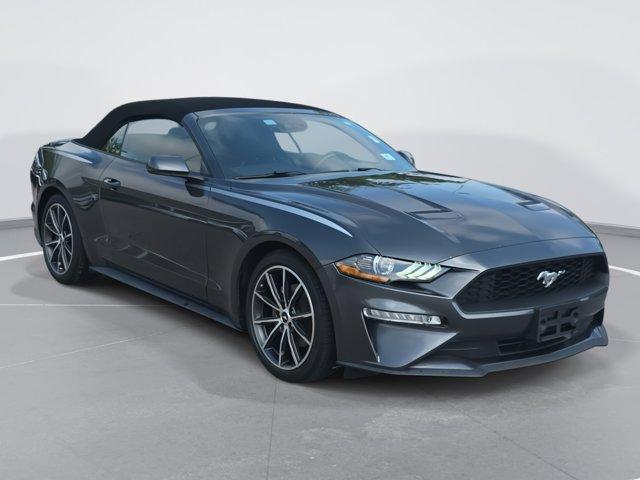 used 2019 Ford Mustang car, priced at $14,980