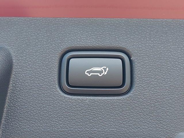 new 2025 Kia Sportage car, priced at $31,955