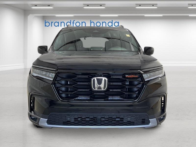 new 2025 Honda Pilot car, priced at $50,895