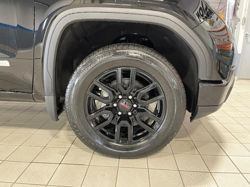new 2025 GMC Sierra 1500 car, priced at $53,789