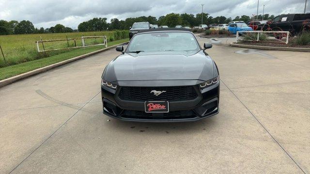 used 2024 Ford Mustang car, priced at $37,995