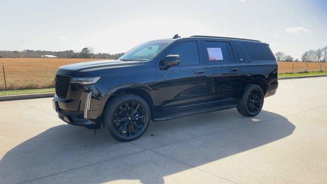 used 2024 Cadillac Escalade ESV car, priced at $91,995