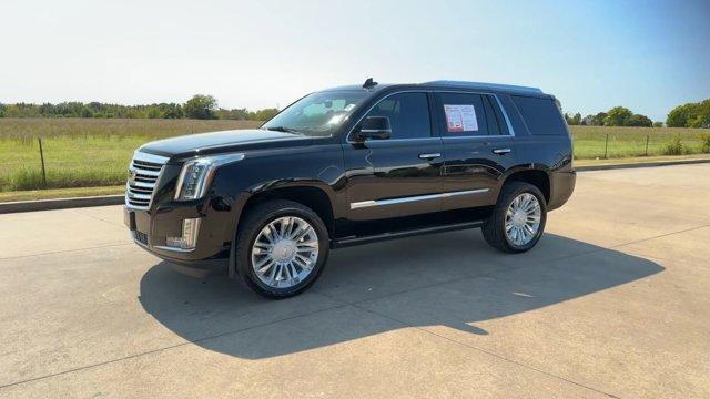 used 2020 Cadillac Escalade car, priced at $42,995