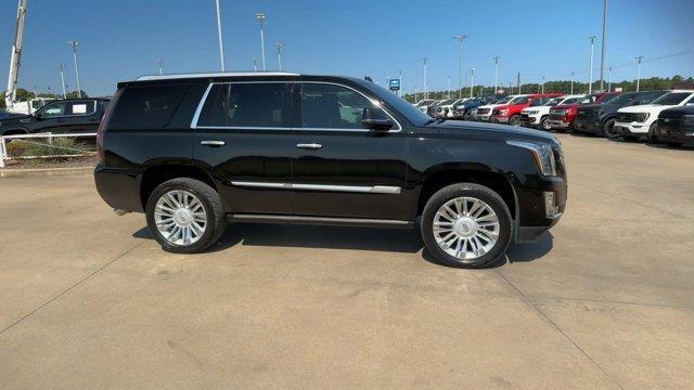 used 2020 Cadillac Escalade car, priced at $42,995