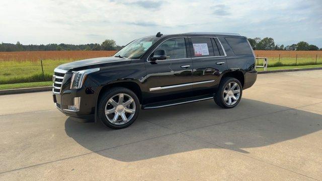 used 2018 Cadillac Escalade car, priced at $29,995