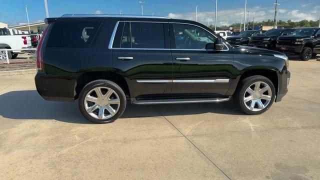 used 2020 Cadillac Escalade car, priced at $46,000