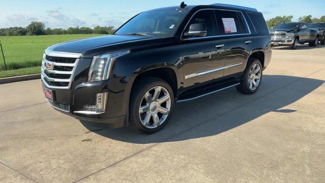 used 2020 Cadillac Escalade car, priced at $46,000