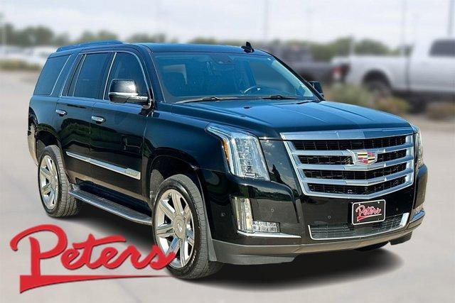 used 2020 Cadillac Escalade car, priced at $46,000