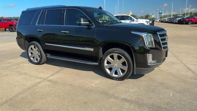 used 2020 Cadillac Escalade car, priced at $46,000