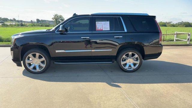 used 2020 Cadillac Escalade car, priced at $46,000