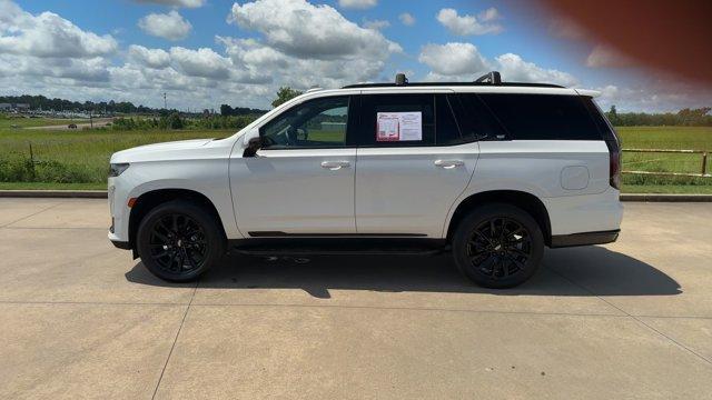 used 2021 Cadillac Escalade car, priced at $75,995