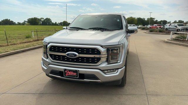 used 2023 Ford F-150 car, priced at $48,500