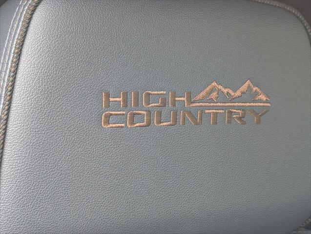 used 2024 Chevrolet Silverado 1500 car, priced at $60,744