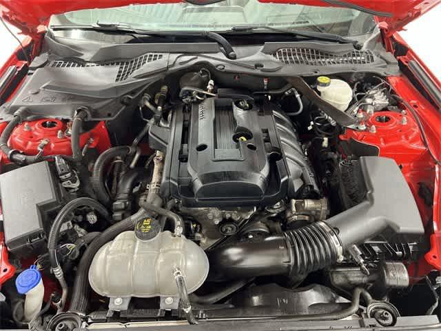 used 2020 Ford Mustang car, priced at $16,999