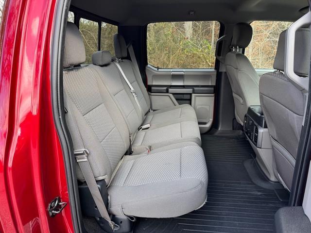 used 2019 Ford F-150 car, priced at $29,999