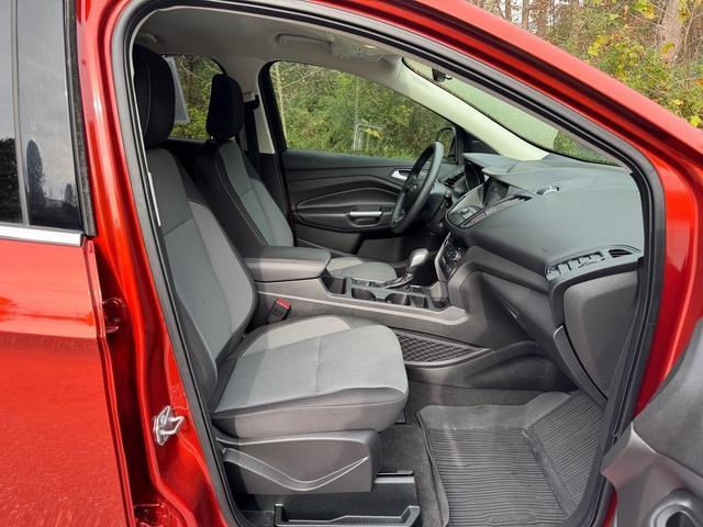 used 2019 Ford Escape car, priced at $99,999